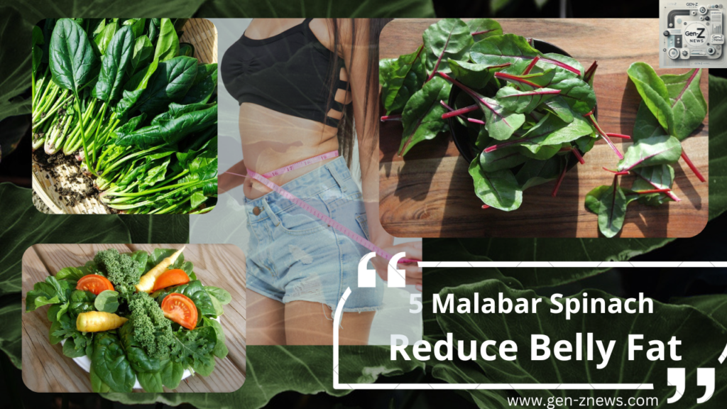 Malabar Spinach Benefits for Belly Fat